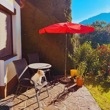 Apartment Bergblick - & Panorama In *