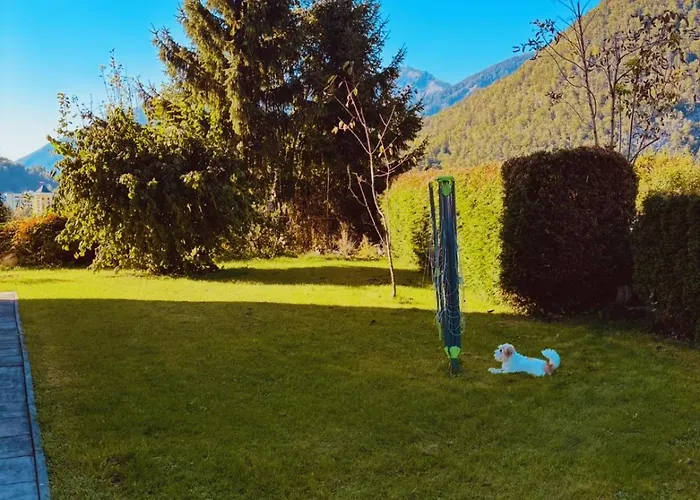 Bergblick - & Panorama In