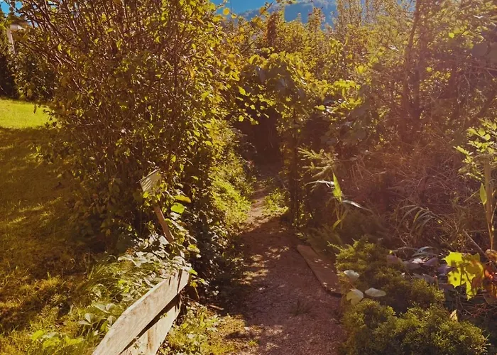 Bergblick - & Panorama In Daire Bad Ischl
